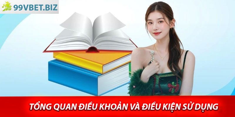 Tổng quan điều khoản và điều kiện sử dụng